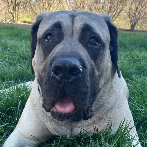 Meet your Posher, Faith - Picture 1 of 1